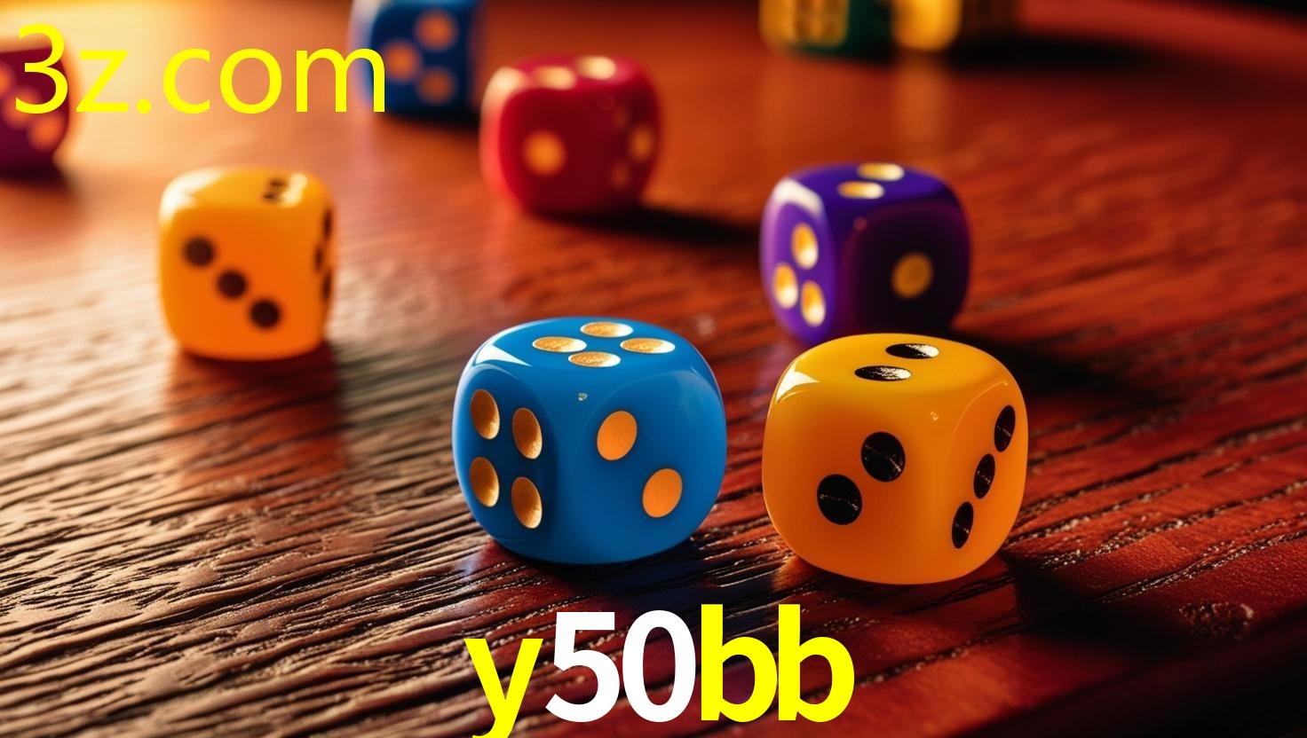 Y50BB