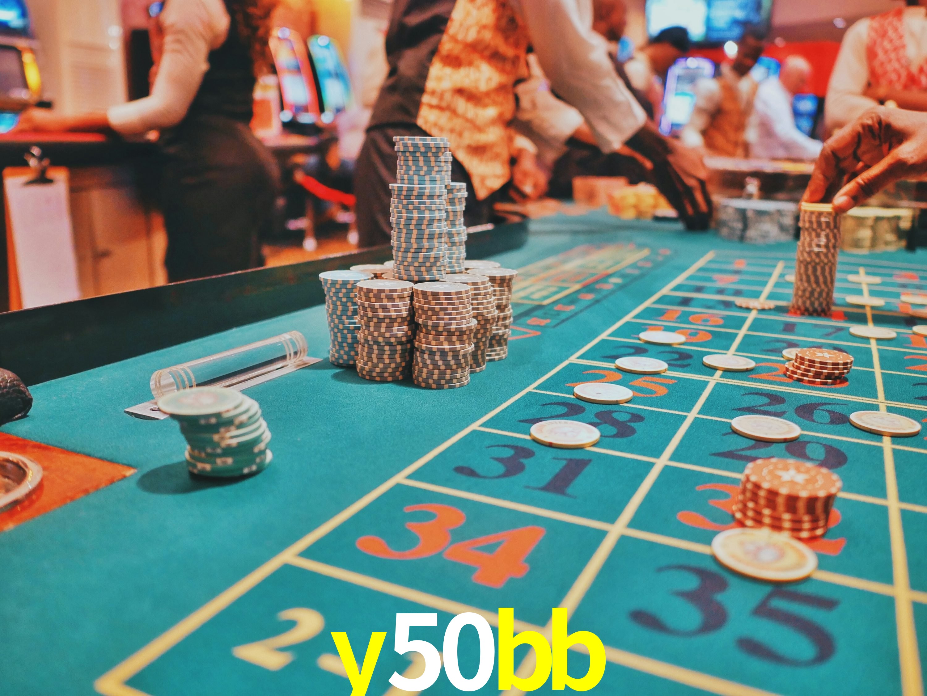 Sports Statistics y50bb